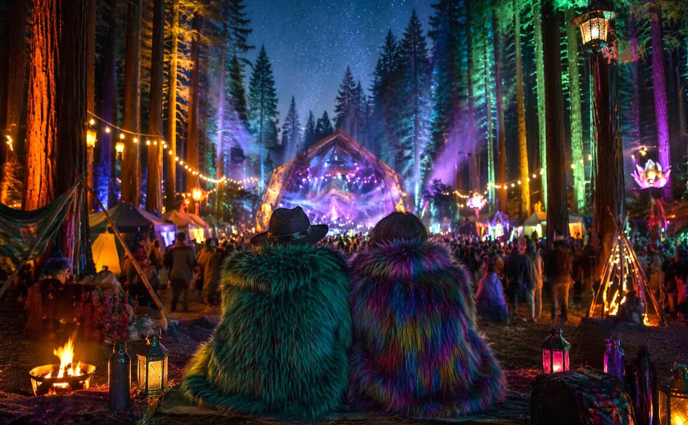 Northern Nights