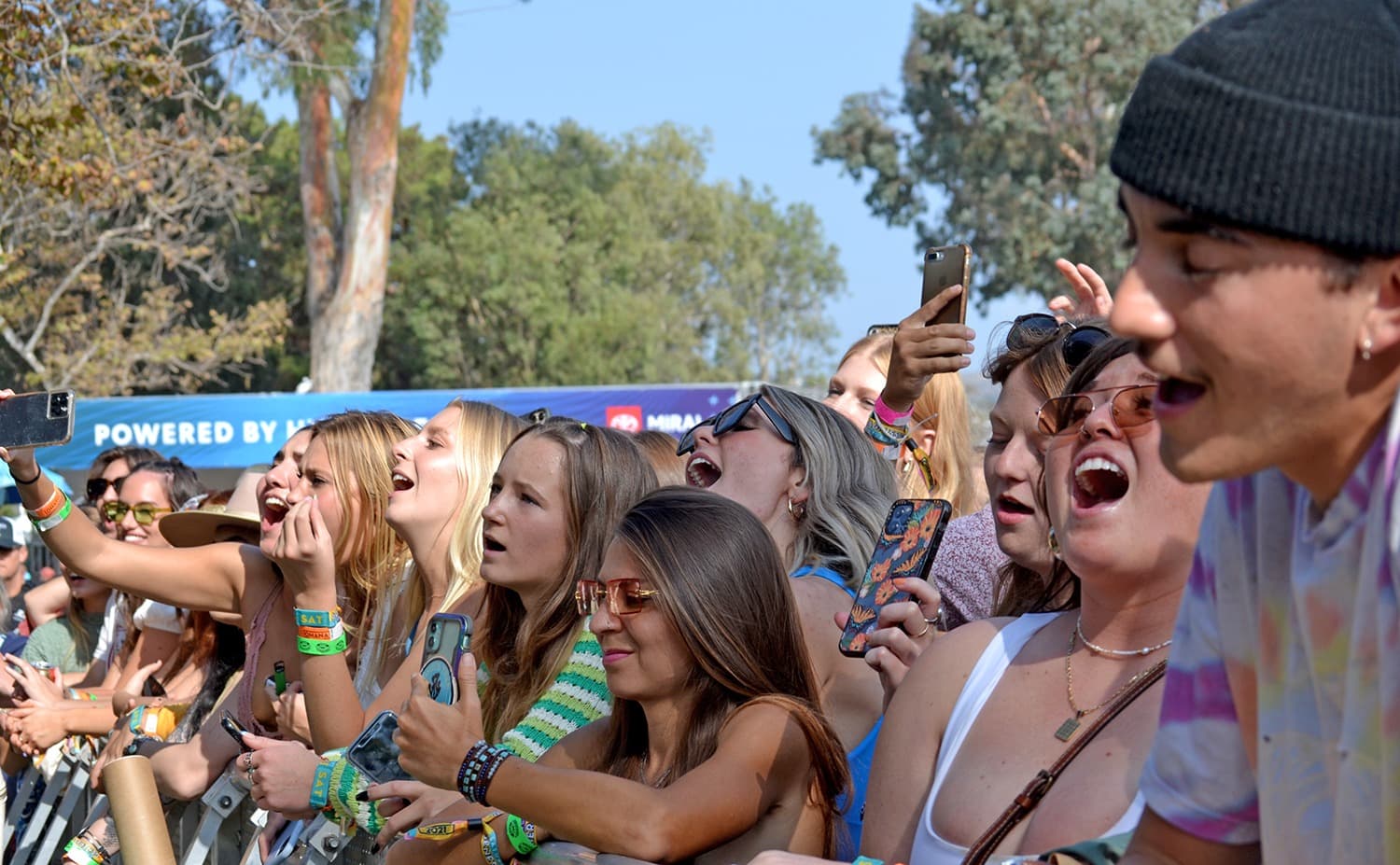 Ohana Festival