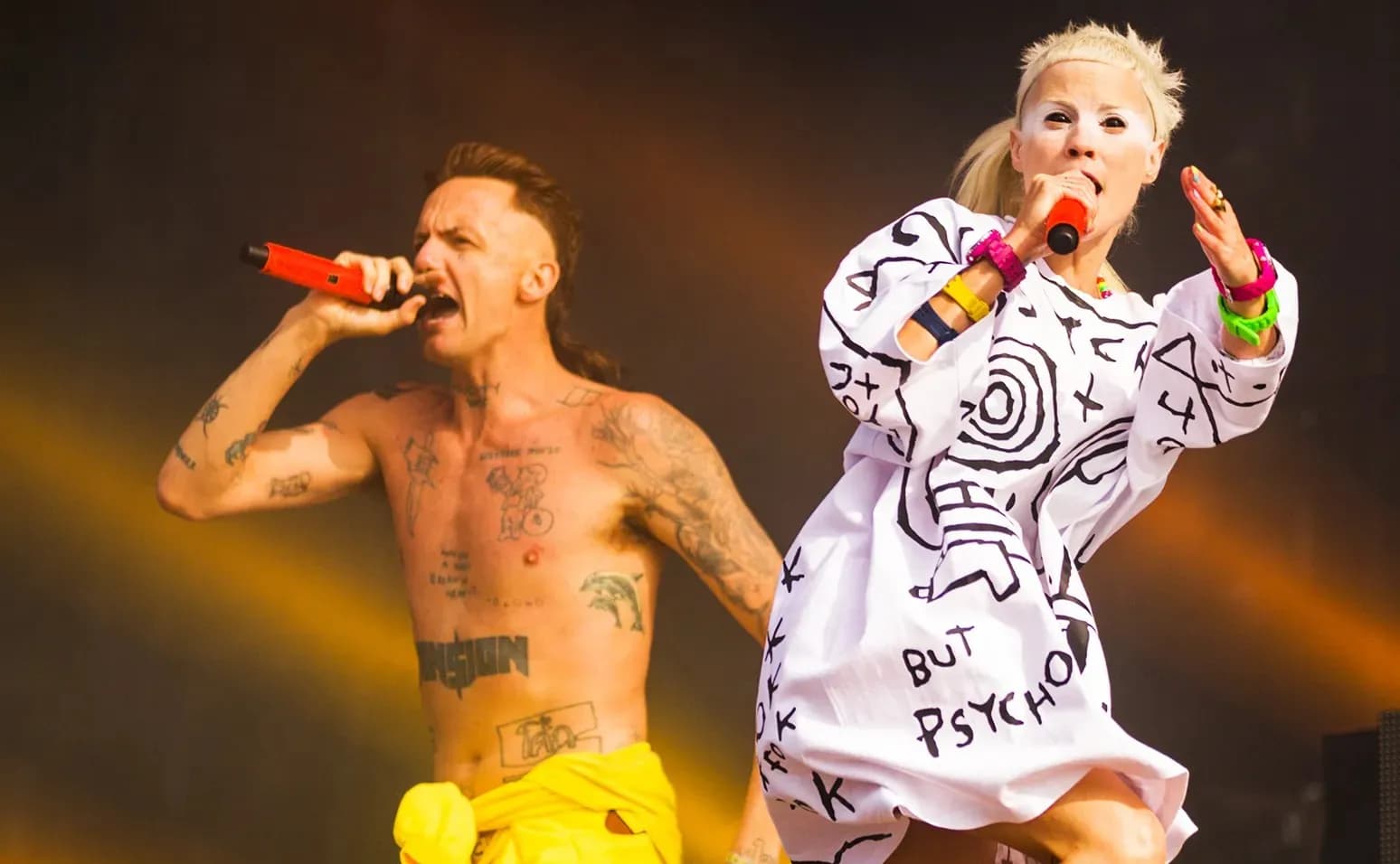 Die Antwoord